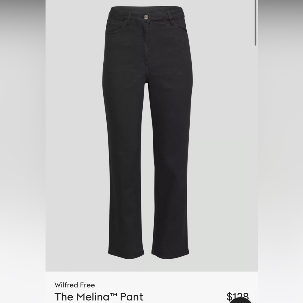 Aritzia Wilfred free melina jean